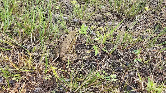 Smoke Rise Campground & Cabins Picture 5