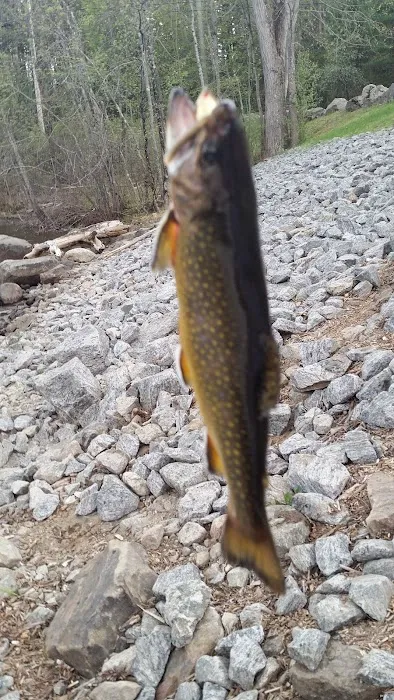 Riverside Pines Picture 7