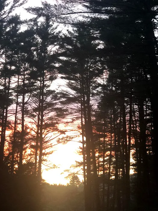 Rancho Pines Campground Picture 7