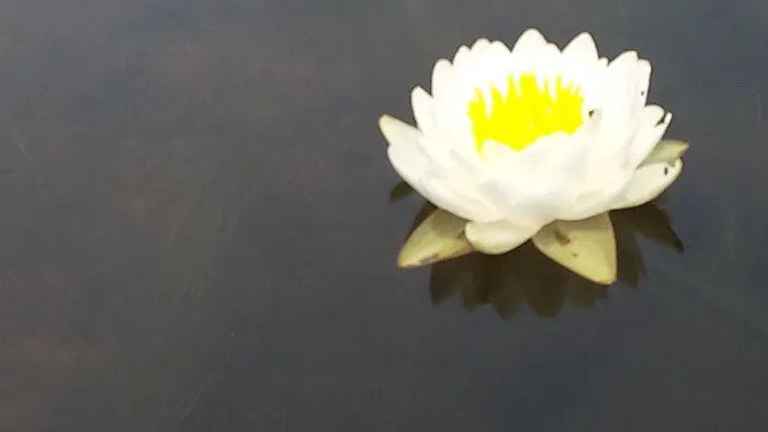 Ideal Campground Picture 1