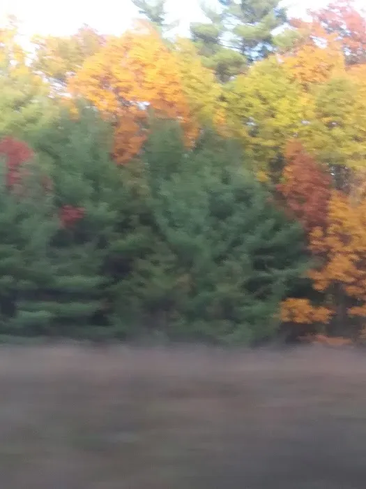 Ideal Campground Picture 3