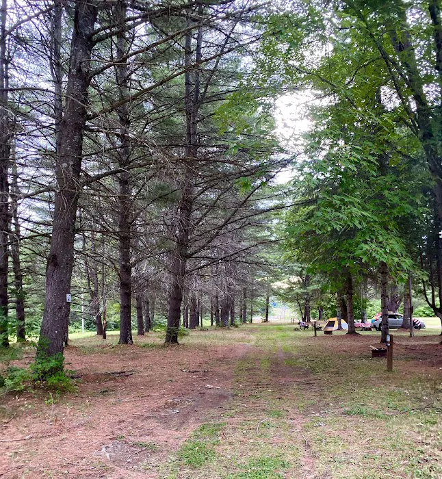 Ideal Campground Picture 10