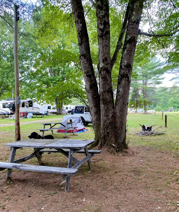 Ideal Campground Picture 7