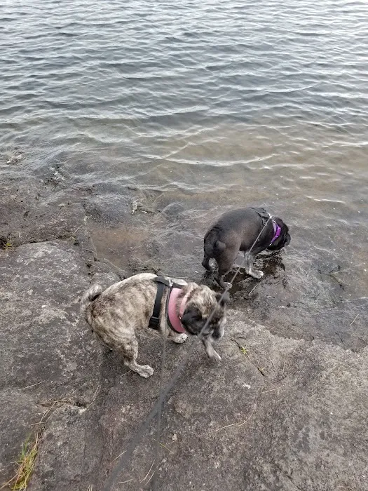 Scaroon Manor Campground Picture 2