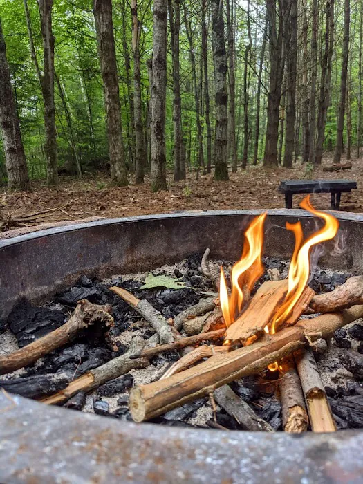 Scaroon Manor Campground Picture 6