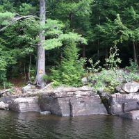 Indian Lake Islands Campground - Campsite #5 ico