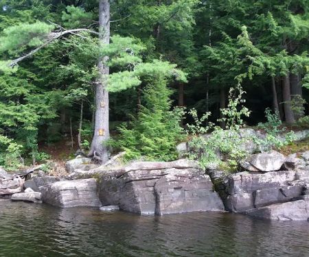 Indian Lake Islands Campground - Campsite #5