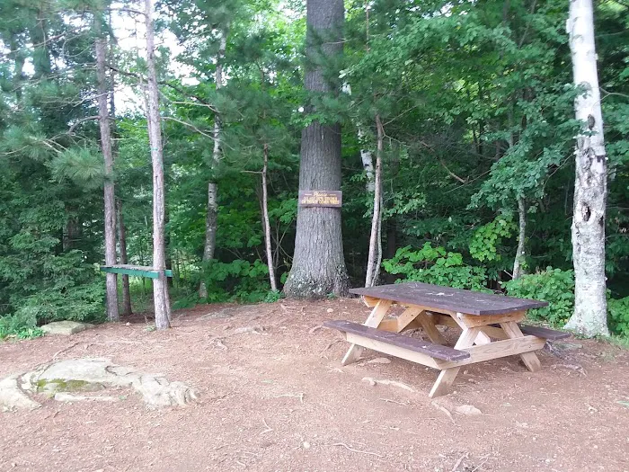 Indian Lake Islands Campground -Campsite #1 Picture 3