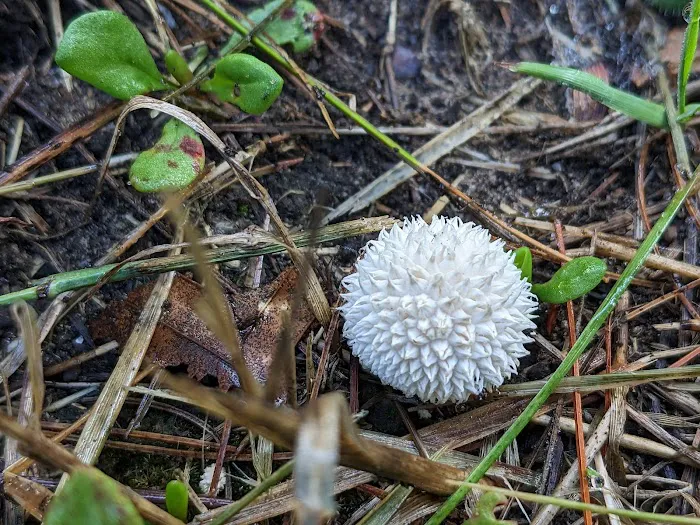 Beulah Park Campground Picture 6