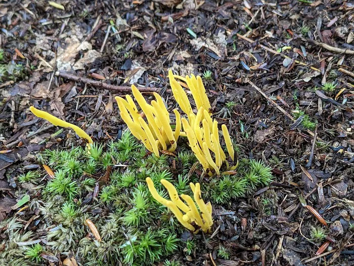 Beulah Park Campground Picture 5