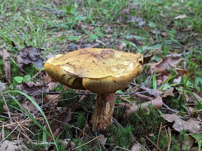 Beulah Park Campground Picture 7