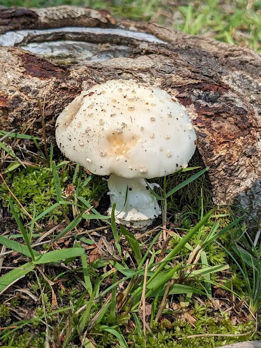 Beulah Park Campground Picture 4