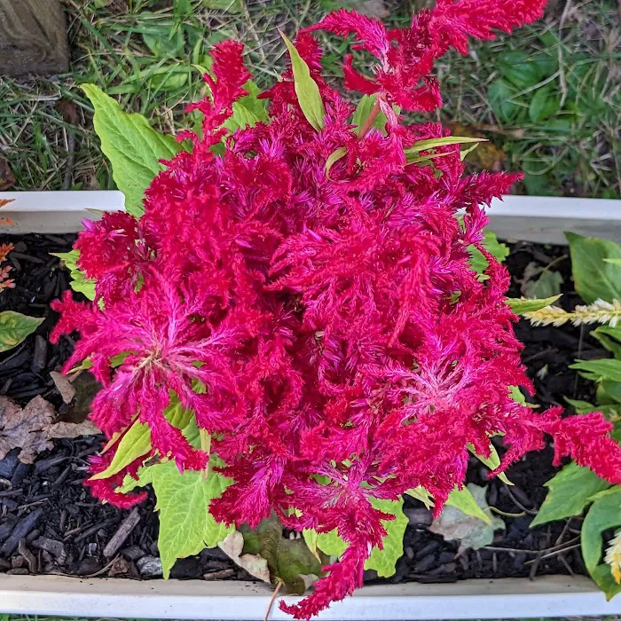 Beulah Park Campground Picture 8