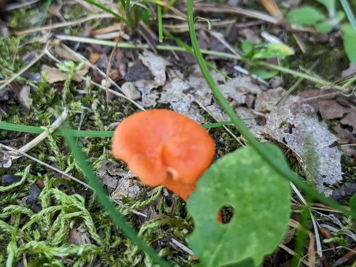 Beulah Park Campground Picture 9