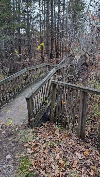 Remington Park Tent Campground Picture 2