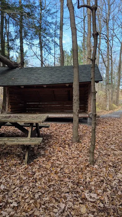 Adirondack Lean-tos Campsites Picture 3