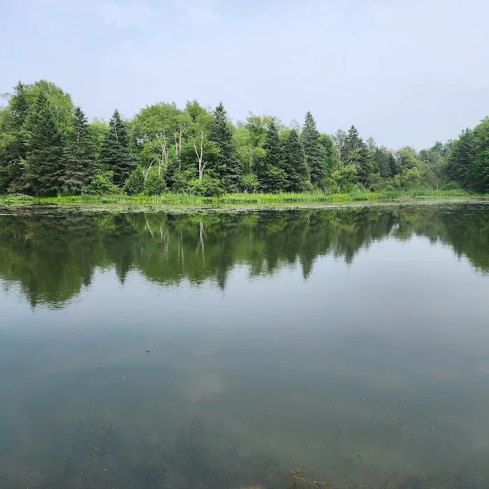 Remington Park RV Campground Picture 4