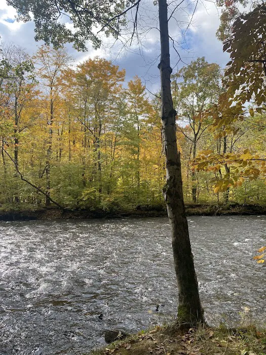 Stoney's Pineville Campground Picture 9