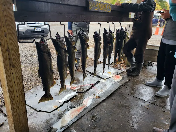 Stoney's Pineville Campground Picture 1