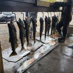 Stoney's Pineville Campground