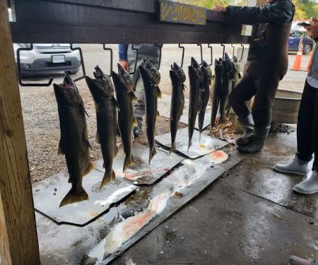 Stoney's Pineville Campground