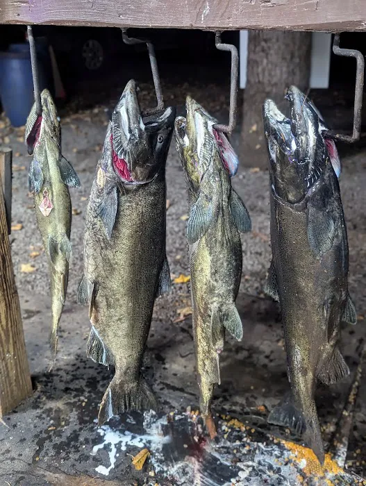 Stoney's Pineville Campground Picture 8