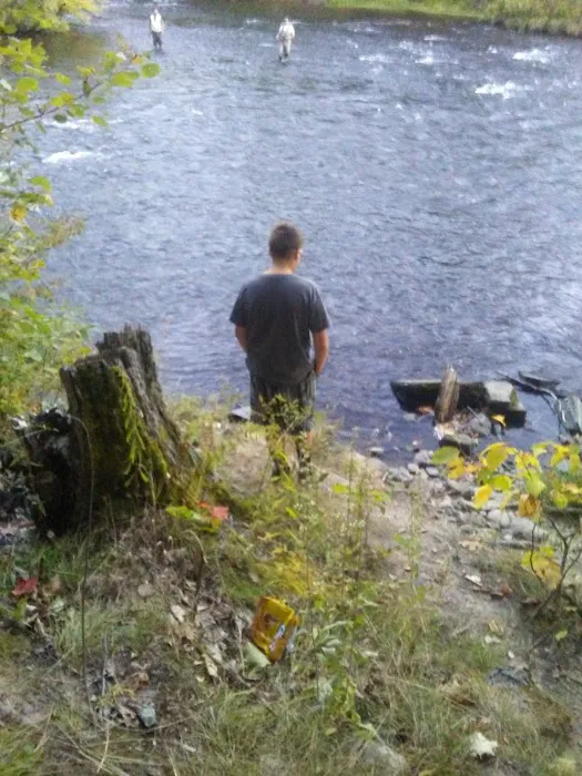 Stoney's Pineville Campground Picture 6