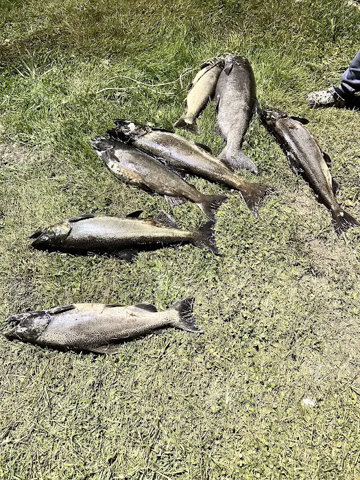 Sportsmans Paradise LLC Picture 10