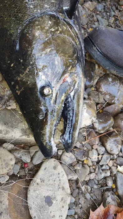 Sportsmans Paradise LLC Picture 7