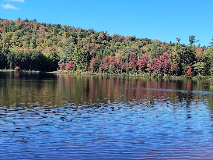 Brown Tract Pond Campground Picture 3