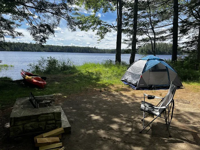 Brown Tract Pond Campground Picture 1