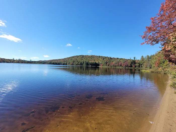 Brown Tract Pond Campground Picture 2