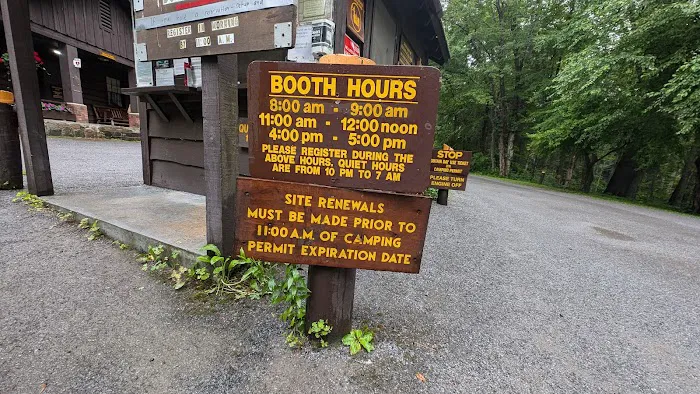 Brown Tract Pond Campground Picture 8