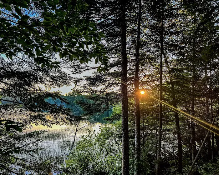 Brown Tract Pond Campground Picture 10