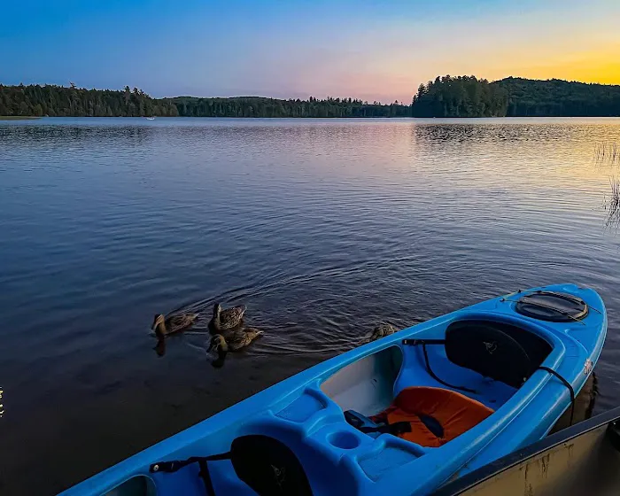 Brown Tract Pond Campground Picture 6