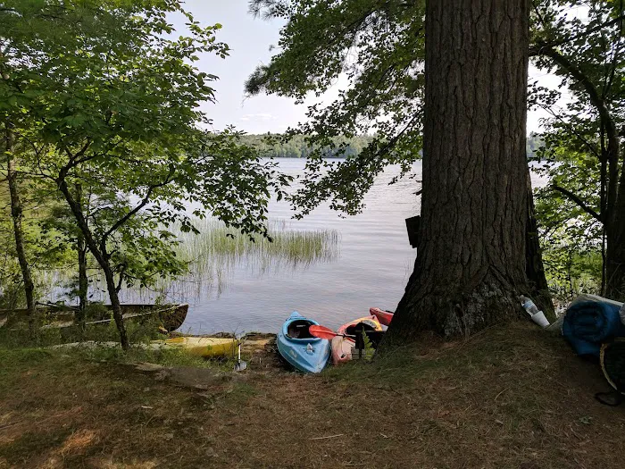 Tioga Point Campground Picture 6