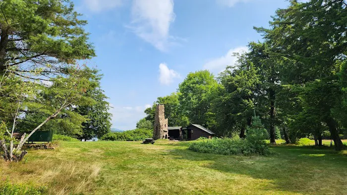 Tioga Point Campground Picture 5