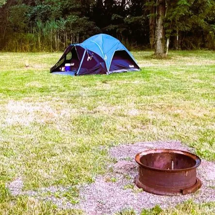 Coleman's Campground Picture 4