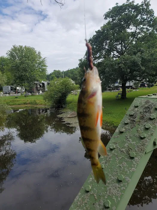 SutterCreek Campground Picture 6