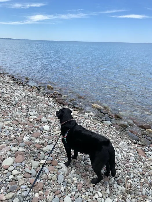 Holiday Harbor RV Park Picture 4