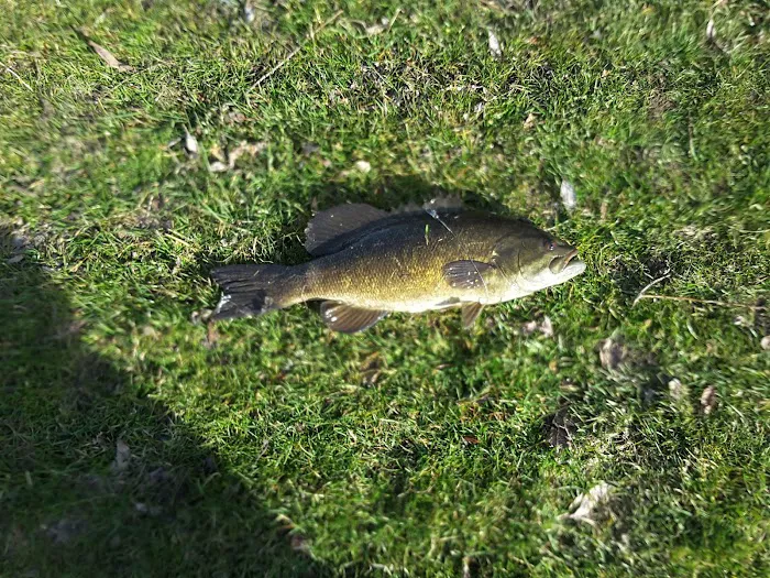 Bears Sleepy Hollow Campground Picture 6