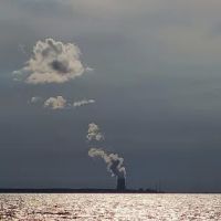 Selkirk Back Door ico