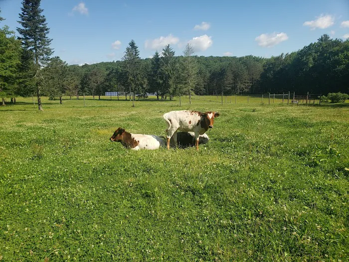 Kearns Campground Picture 1