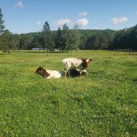 Kearns Campground ico