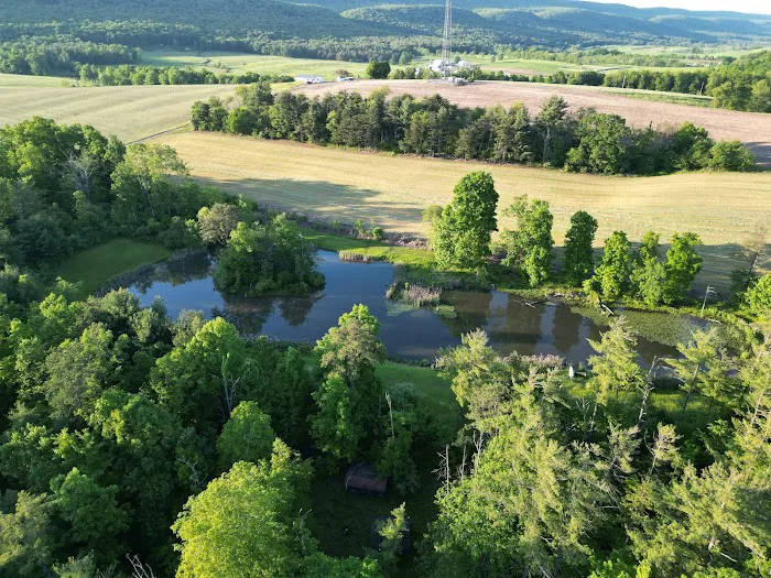 Hartman Center Campground and Retreat Picture 1