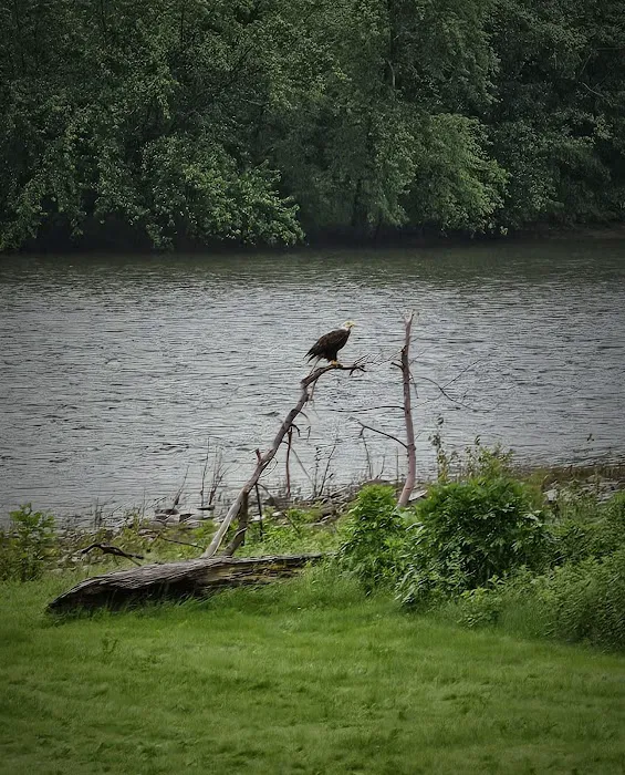 River Rock Camping & RV Park LLC. Picture 5