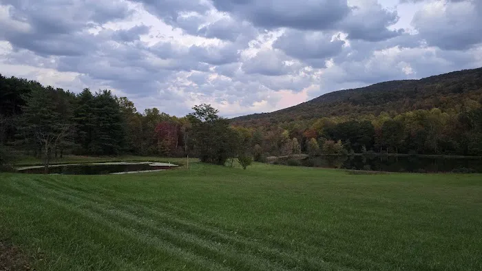 Back Roads Camping and Rv Resort Picture 3