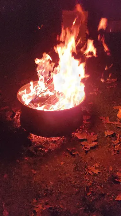 Back Roads Camping and Rv Resort Picture 1