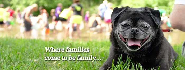 Paradise Stream Family Campground Picture 4