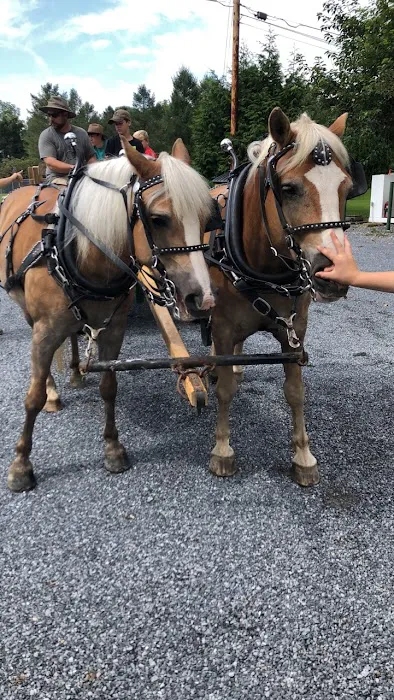 Dogwood Acres Campground Inc Picture 2